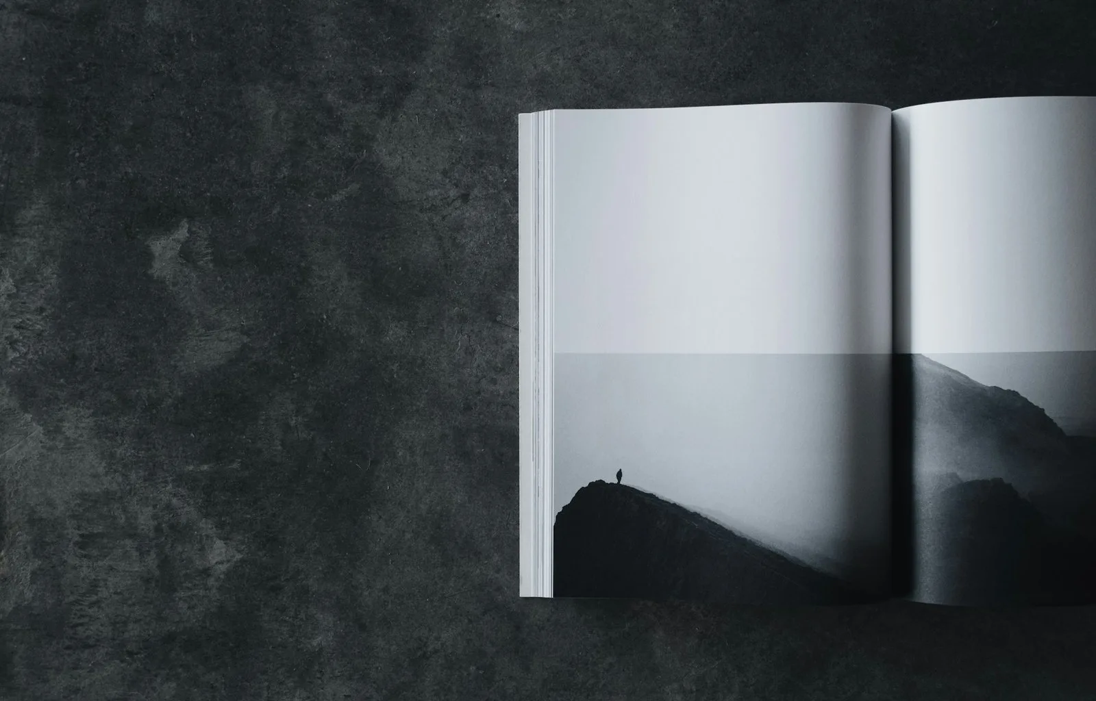 Designed Conviction The Magazine